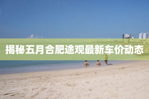 揭秘五月合肥途觀最新車價動態