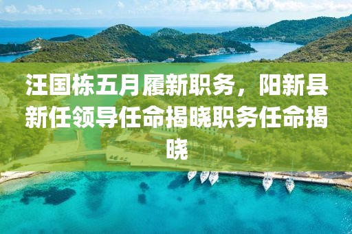 汪國(guó)棟五月履新職務(wù),陽新縣新任領(lǐng)導(dǎo)任命揭曉職務(wù)任命揭曉