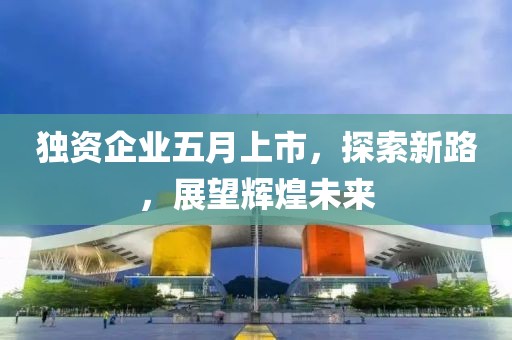 獨資企業(yè)五月上市,探索新路,展望輝煌未來