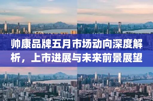 帥康品牌五月市場動向深度解析，上市進展與未來前景展望