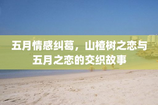 五月情感糾葛,山楂樹之戀與五月之戀的交織故事