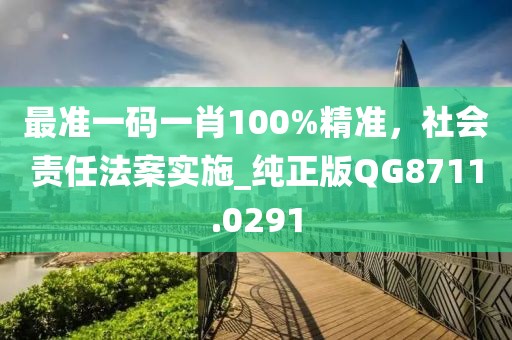 最準一碼一肖100%精準,社會責任法案實施_純正版QG8711.0291