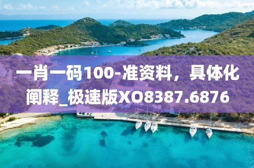 一肖一碼100-準資料,具體化闡釋_極速版XO8387.6876