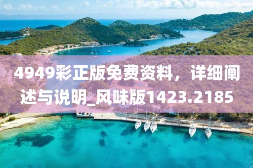 4949彩正版免費資料,詳細(xì)闡述與說明_風(fēng)味版1423.2185
