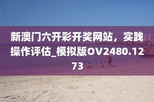 新澳門六開彩開獎網站,實踐操作評估_模擬版OV2480.1273