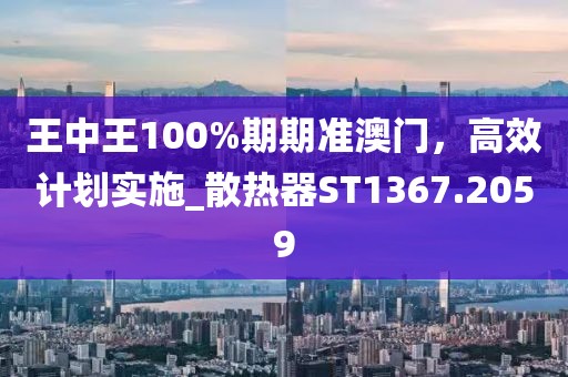 王中王100%期期準澳門，高效計劃實施_散熱器ST1367.2059