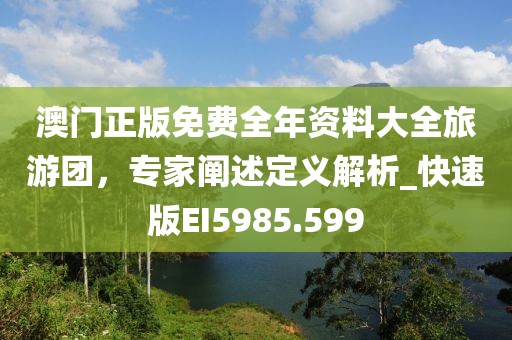 澳門正版免費全年資料大全旅游團,專家闡述定義解析_快速版EI5985.599