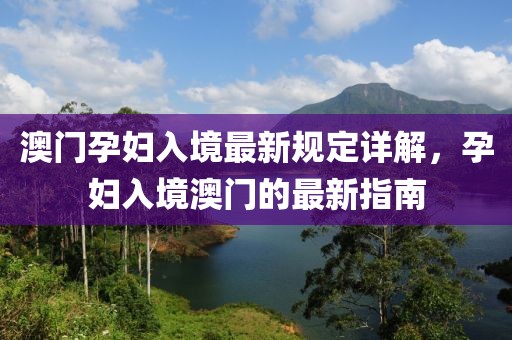 澳門孕婦入境最新規定詳解,孕婦入境澳門的最新指南