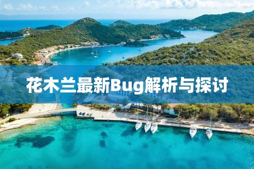 花木蘭最新Bug解析與探討