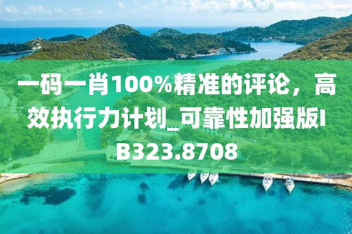 一碼一肖100%精準的評論,高效執行力計劃_可靠性加強版IB323.8708