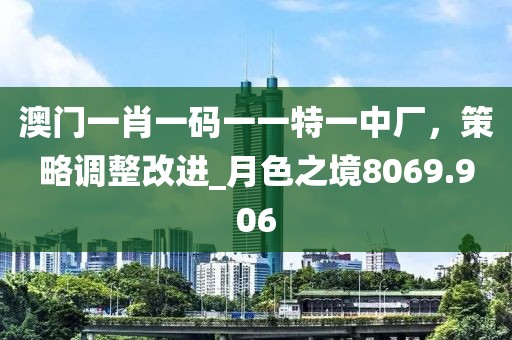 澳門一肖一碼一一特一中廠,策略調整改進_月色之境8069.906