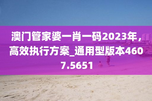 澳門管家婆一肖一碼2023年，高效執行方案_通用型版本4607.5651