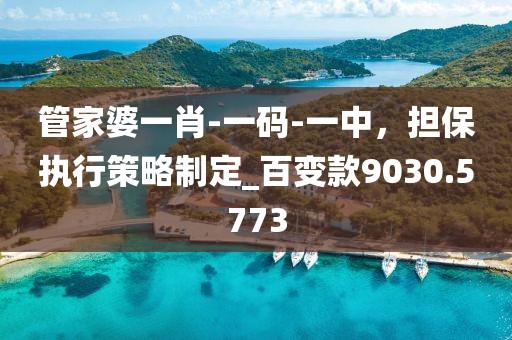 管家婆一肖-一碼-一中,擔保執行策略制定_百變款9030.5773