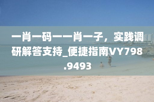 一肖一碼一一肖一子,實踐調研解答支持_便捷指南VY798.9493