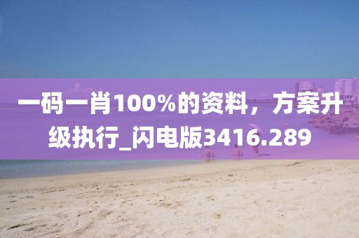 一碼一肖100%的資料，方案升級執行_閃電版3416.289