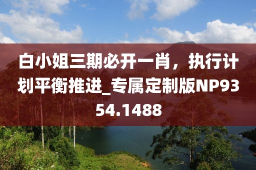 白小姐三期必開一肖,執行計劃平衡推進_專屬定制版NP9354.1488