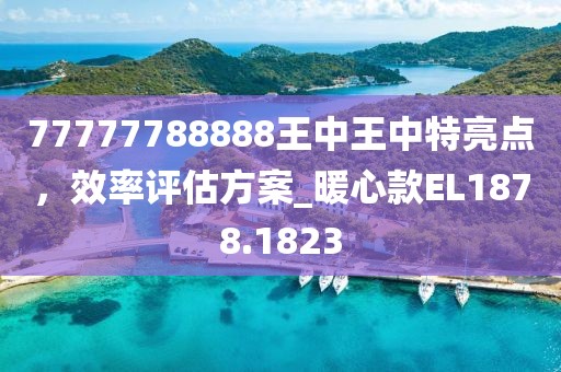 77777788888王中王中特亮點,效率評估方案_暖心款EL1878.1823