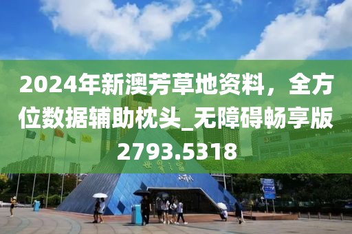 2024年新澳芳草地資料，全方位數據輔助枕頭_無障礙暢享版2793.5318