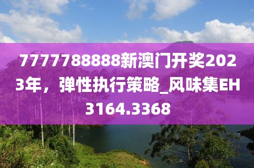 7777788888新澳門開獎2023年,彈性執行策略_風味集EH3164.3368