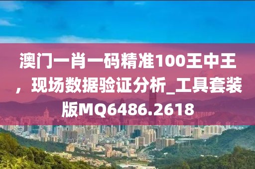 澳門一肖一碼精準100王中王,現場數據驗證分析_工具套裝版MQ6486.2618