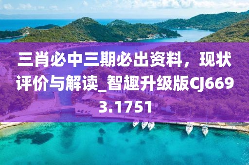 三肖必中三期必出資料,現狀評價與解讀_智趣升級版CJ6693.1751