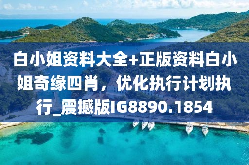 白小姐資料大全+正版資料白小姐奇緣四肖,優化執行計劃執行_震撼版IG8890.1854