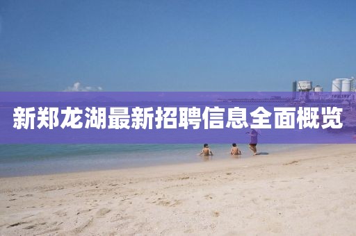 新鄭龍湖最新招聘信息全面概覽