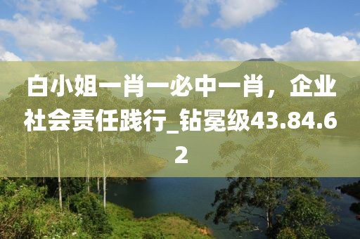白小姐一肖一必中一肖,企業社會責任踐行_鉆冕級43.84.62