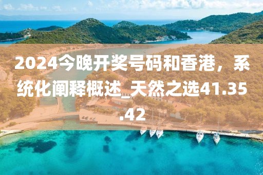 2024今晚開獎號碼和香港,系統(tǒng)化闡釋概述_天然之選41.35.42