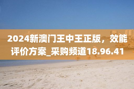 2024新澳門王中王正版，效能評(píng)價(jià)方案_采購(gòu)頻道18.96.41