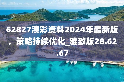 62827澳彩資料2024年最新版，策略持續優化_雅致版28.62.67