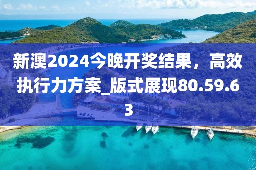 新澳2024今晚開獎結果,高效執行力方案_版式展現80.59.63
