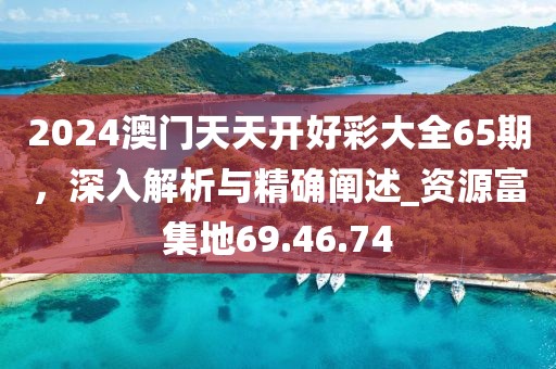 2024澳門天天開好彩大全65期,深入解析與精確闡述_資源富集地69.46.74