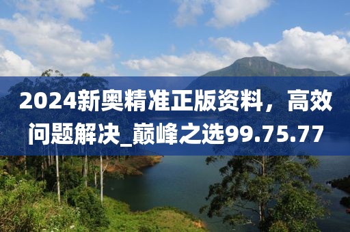 2024新奧精準正版資料,高效問題解決_巔峰之選99.75.77