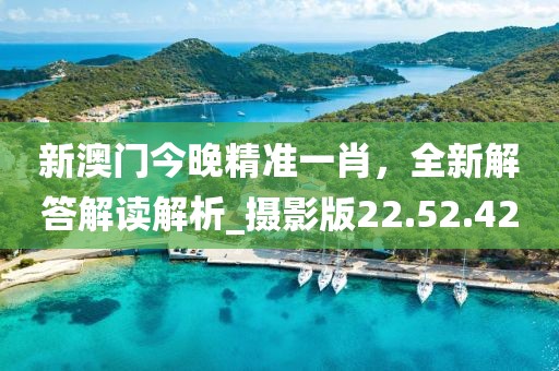 新澳門今晚精準一肖,全新解答解讀解析_攝影版22.52.42