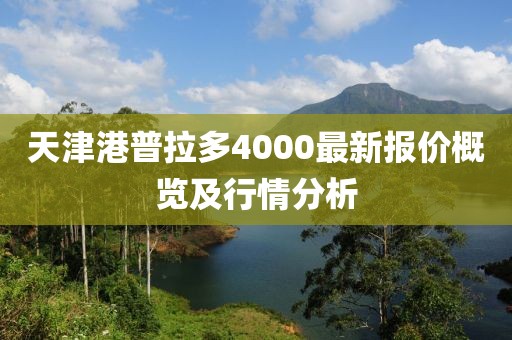 天津港普拉多4000最新報價概覽及行情分析