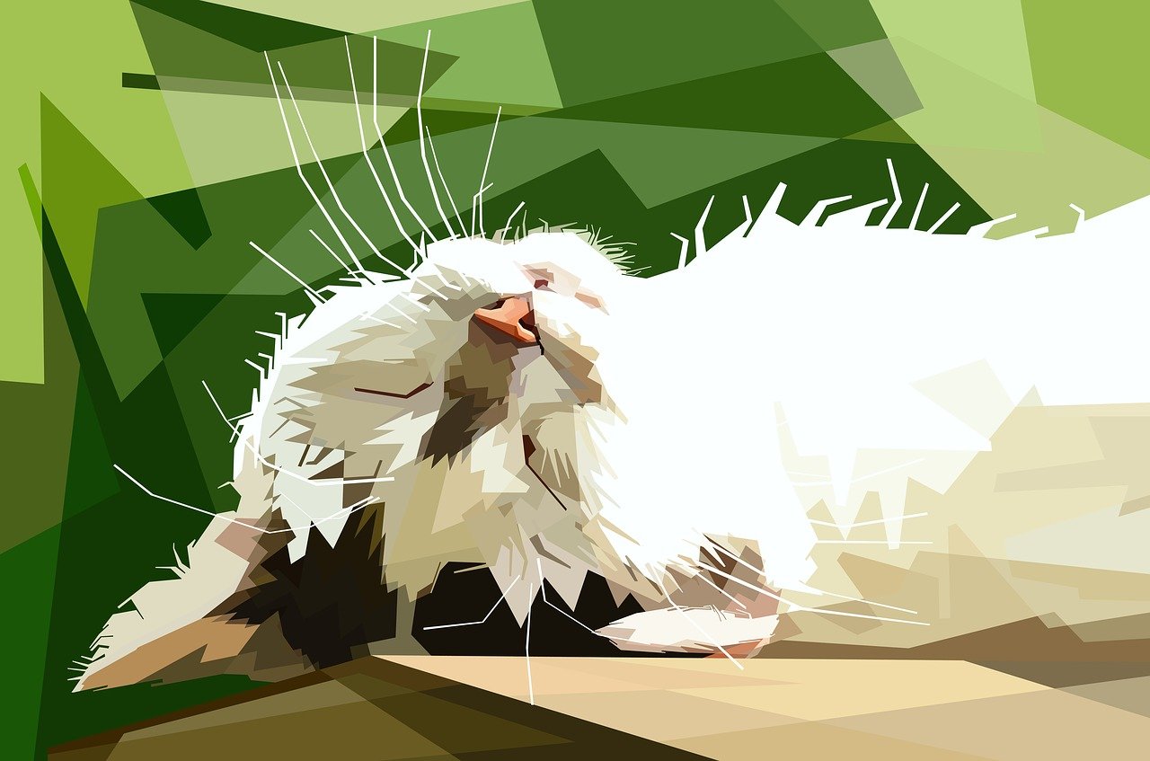 諾奇最新動態(tài),引領(lǐng)時尚潮流開啟新篇章