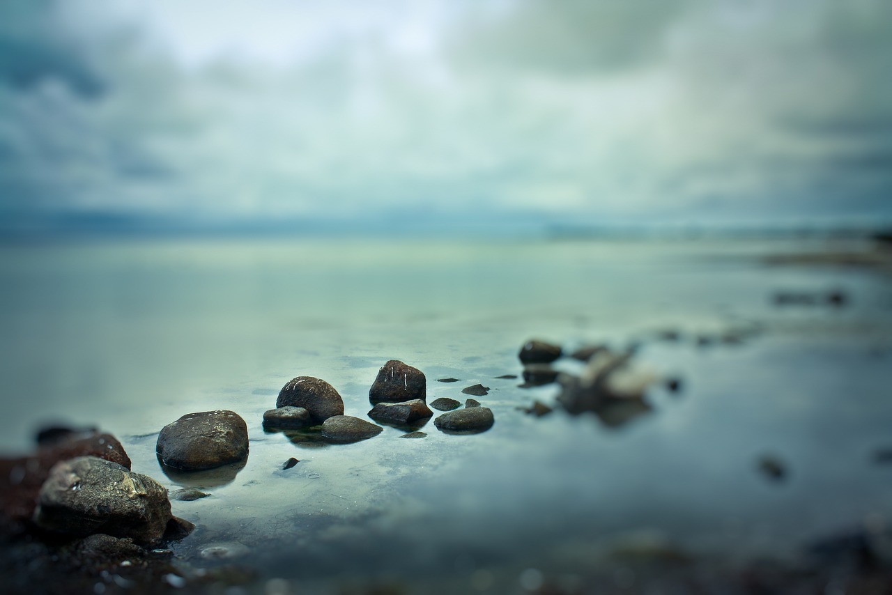 眾生最新版本的探索與解析