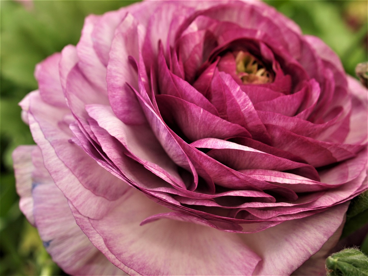 知豆引領綠色出行新篇章的最新動態(tài)消息。