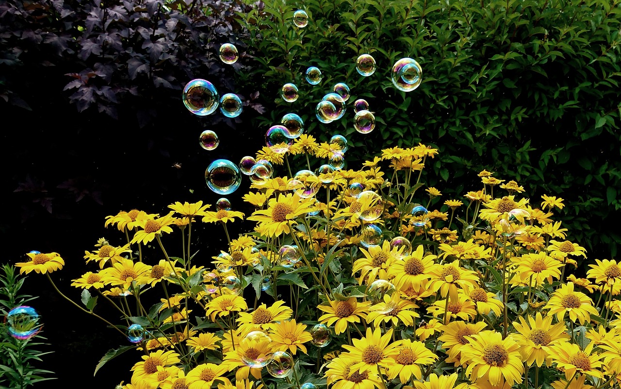 宿松高鐵最新動態,最新消息全面解析