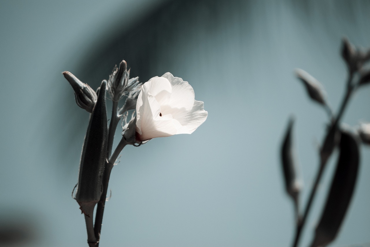 武清區(qū)最新人事任免動(dòng)態(tài)更新