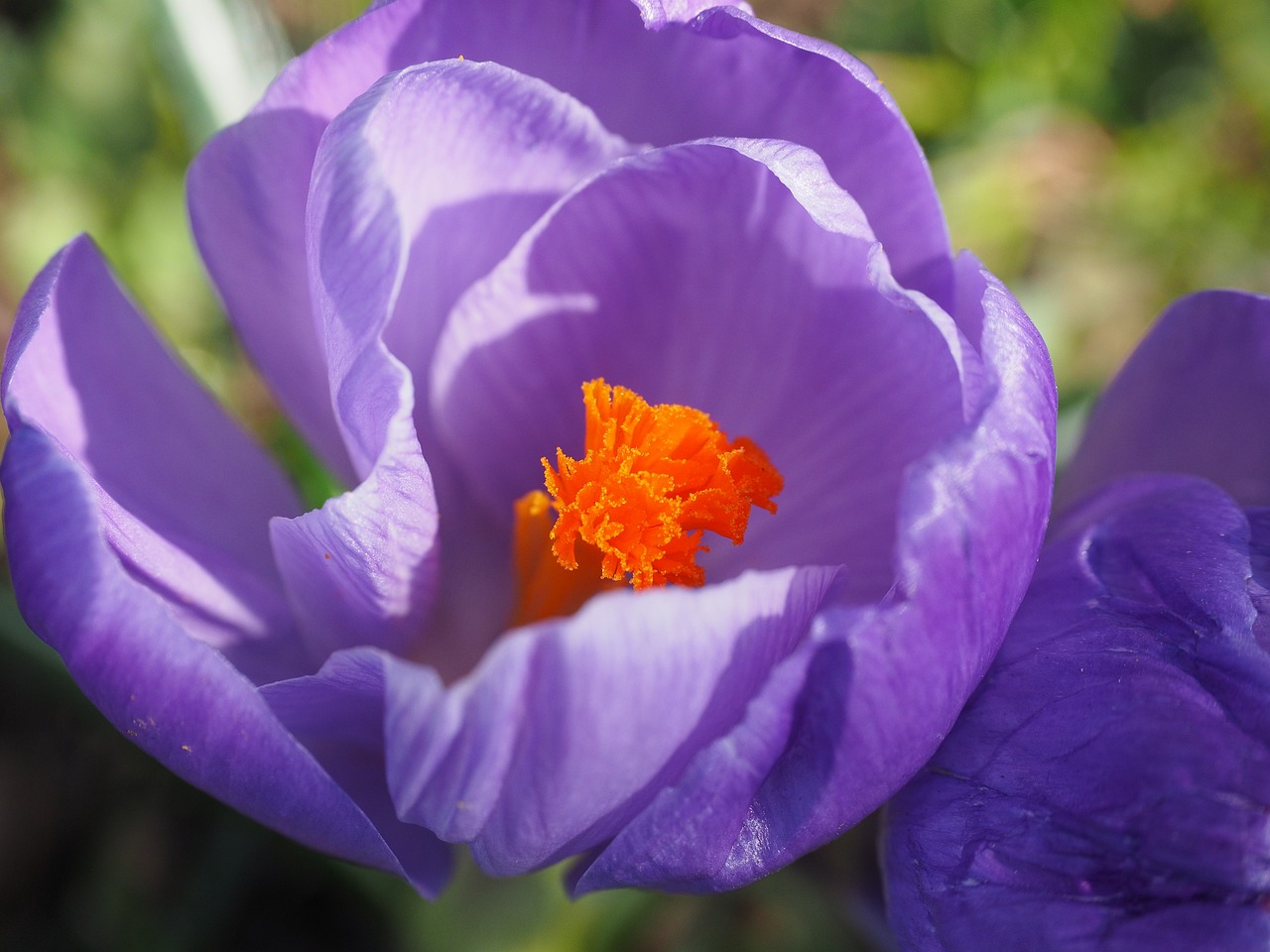 周鎮(zhèn)宏最新動態(tài),揭開新篇章