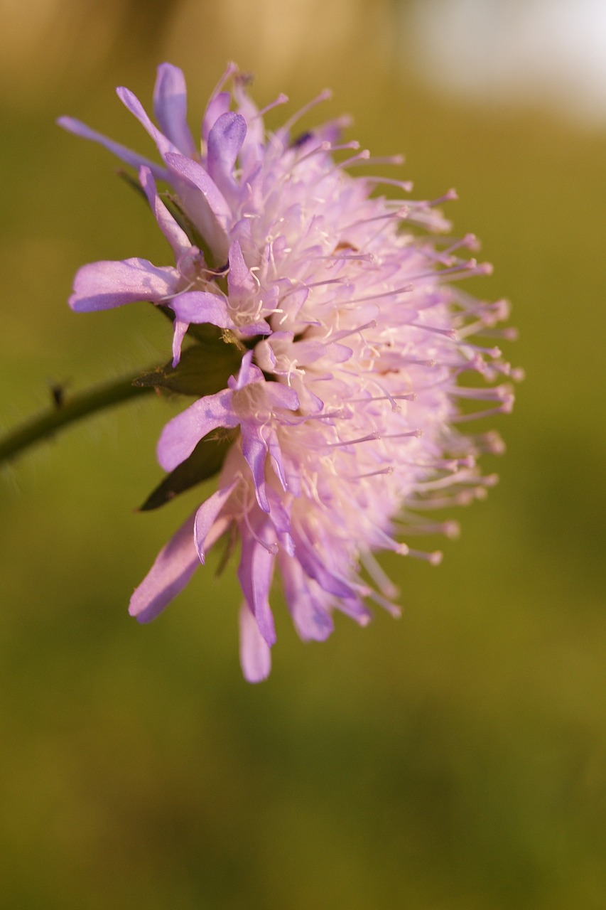 南京江寧最新招聘信息概覽及招聘活動更新動態