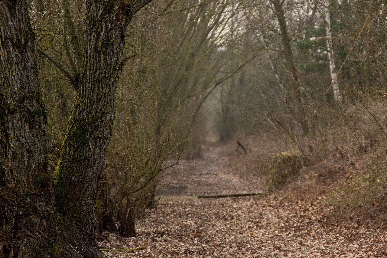 無錫樓市最新動態,市場走勢分析與展望