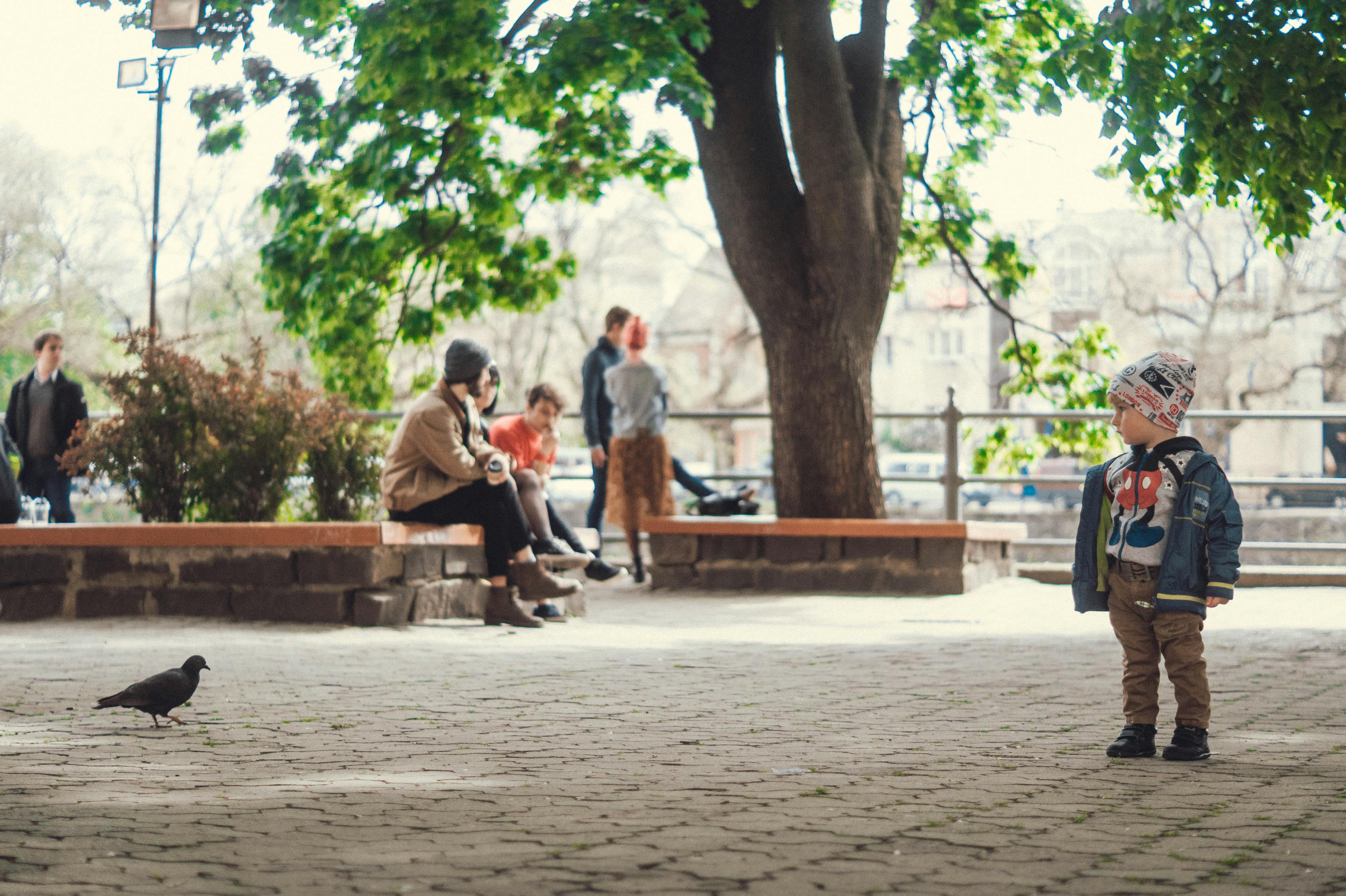 大楊樹(shù)貼吧,最新更新與蓬勃發(fā)展的生態(tài)及交流平臺(tái)