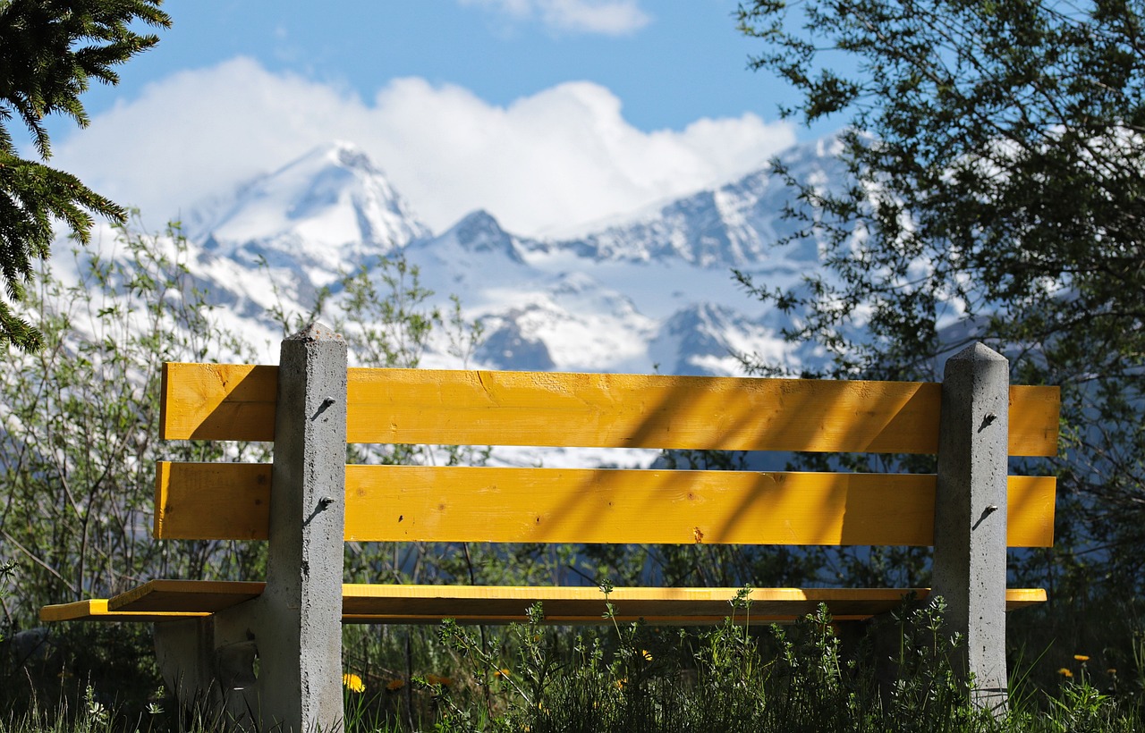 中印高鐵項目最新動態,合作進展、挑戰與前景展望