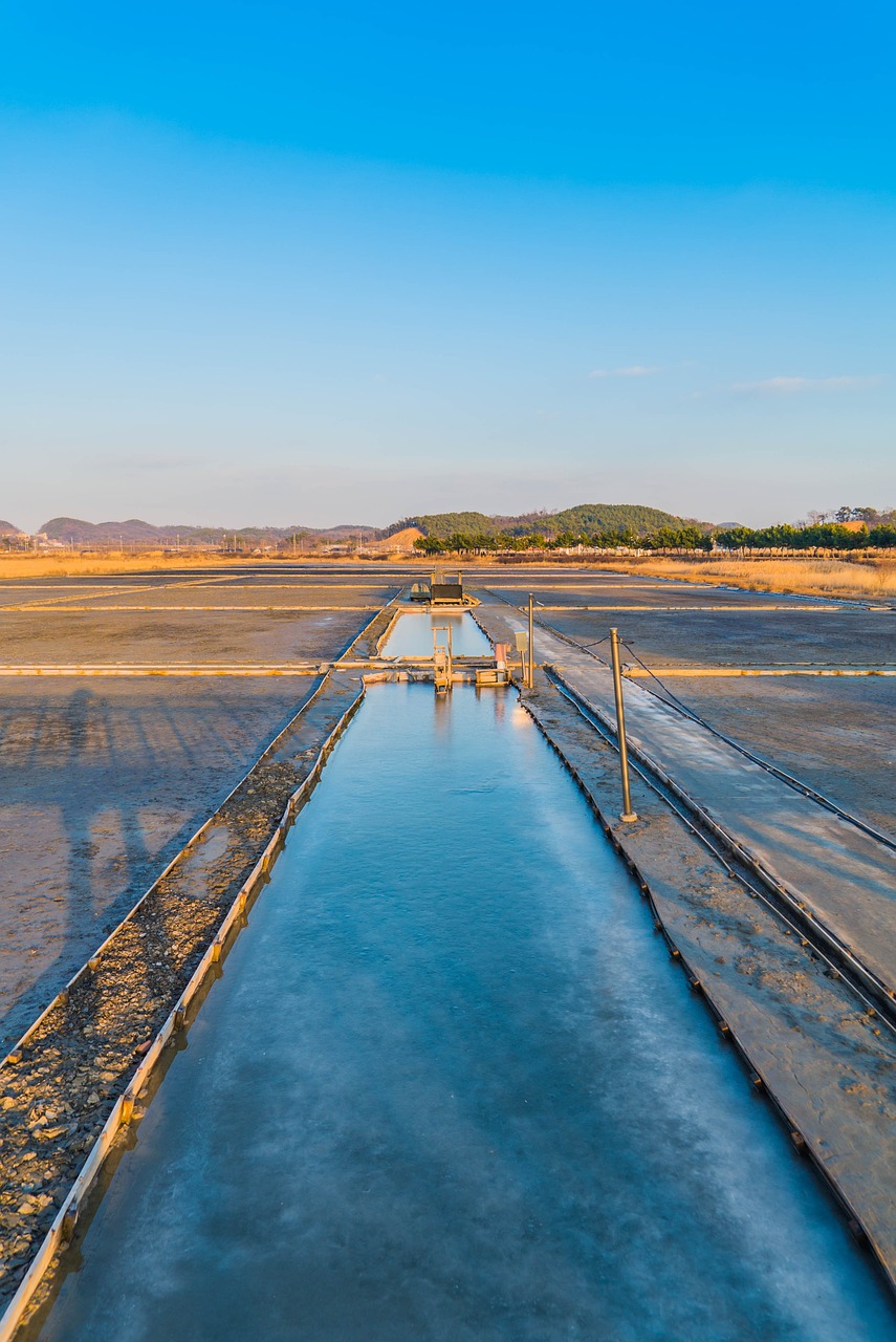 殘風(fēng)逝 第36頁