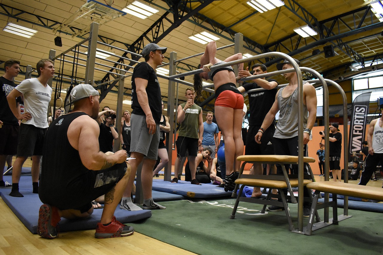 豬肉最新報價,市場動態、影響因素及未來趨勢深度解析