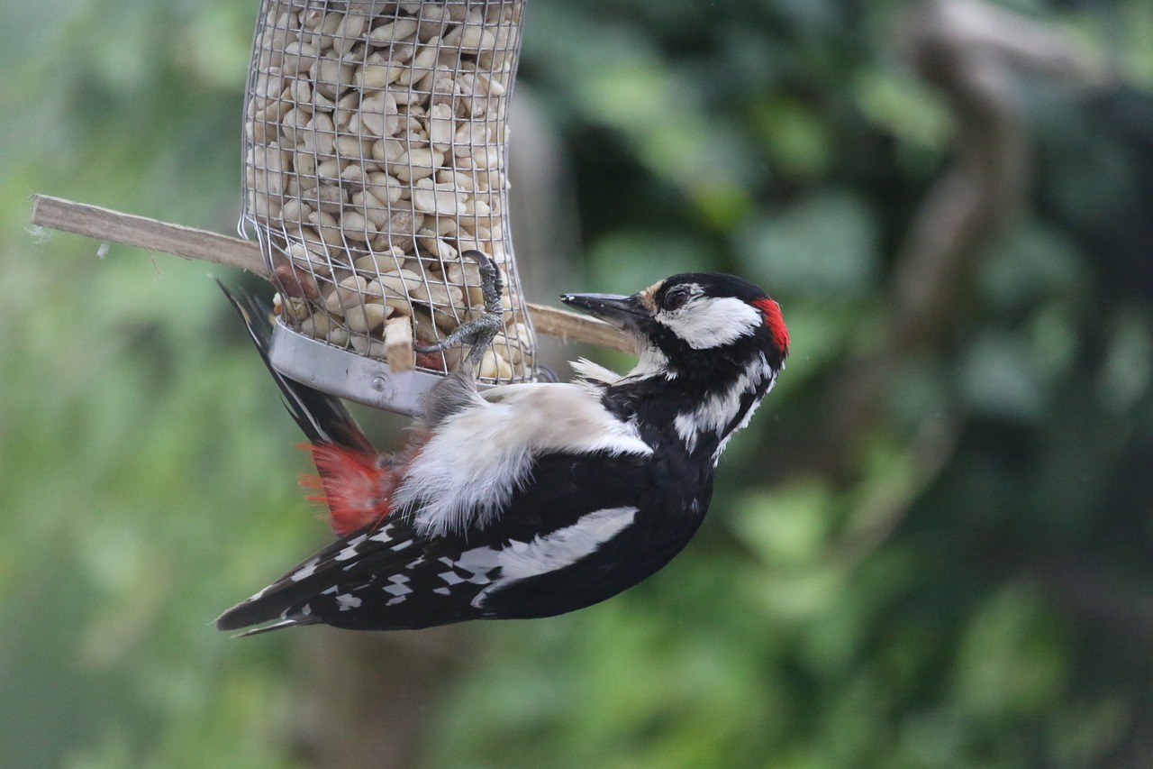 最新鎢礦價格動態及其對全球市場影響分析