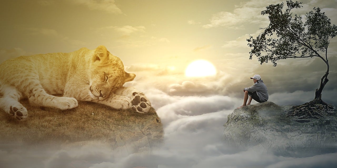 最新念佛感應,探索內心奧秘與外在奇跡的體驗